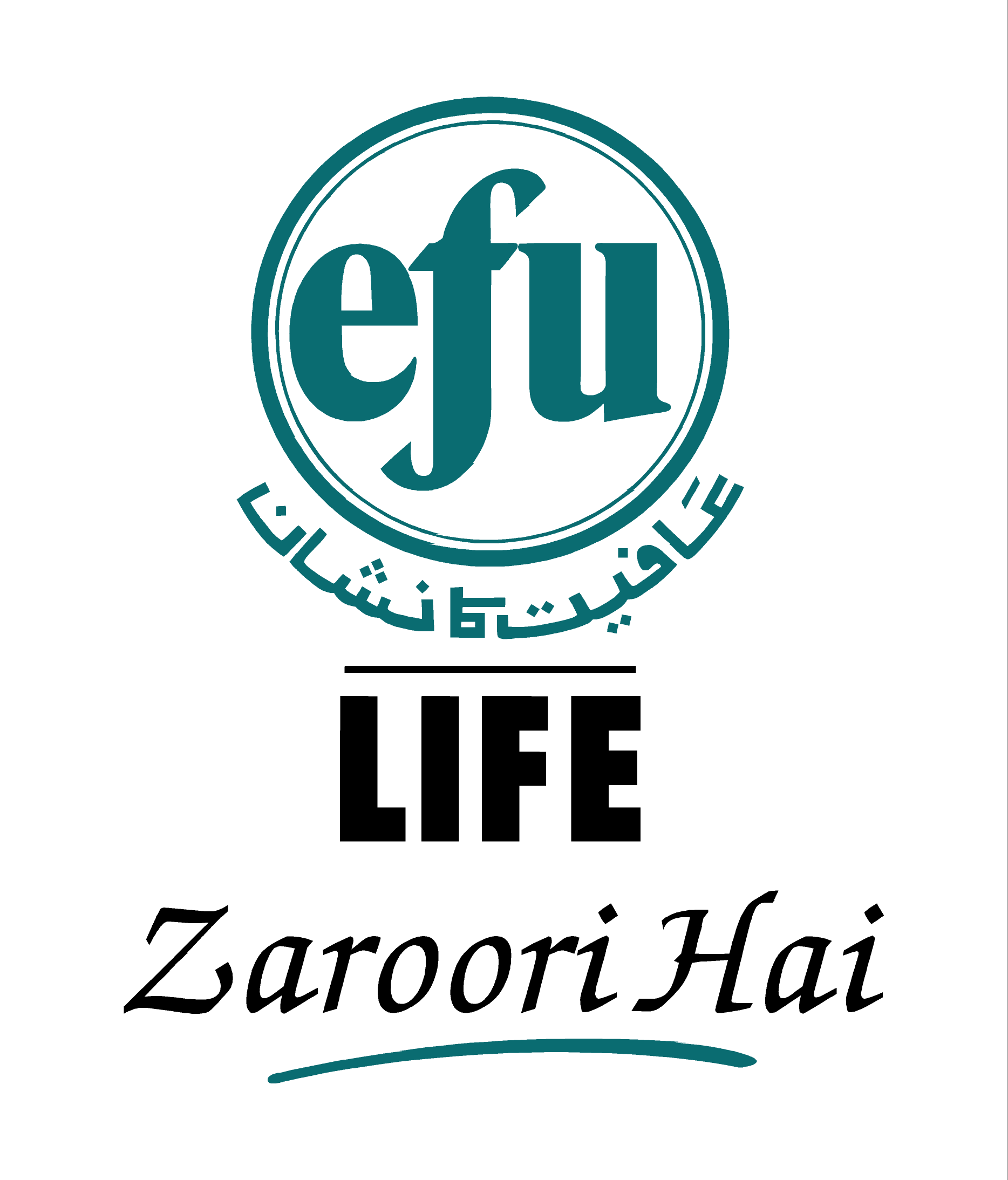 https://www.pakpositions.com/company/efu-life-assurance-ltd-1478072589