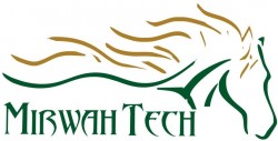 https://www.pakpositions.com/company/mirwah-tech