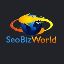 https://www.pakpositions.com/company/seobizworld-digital-marketing