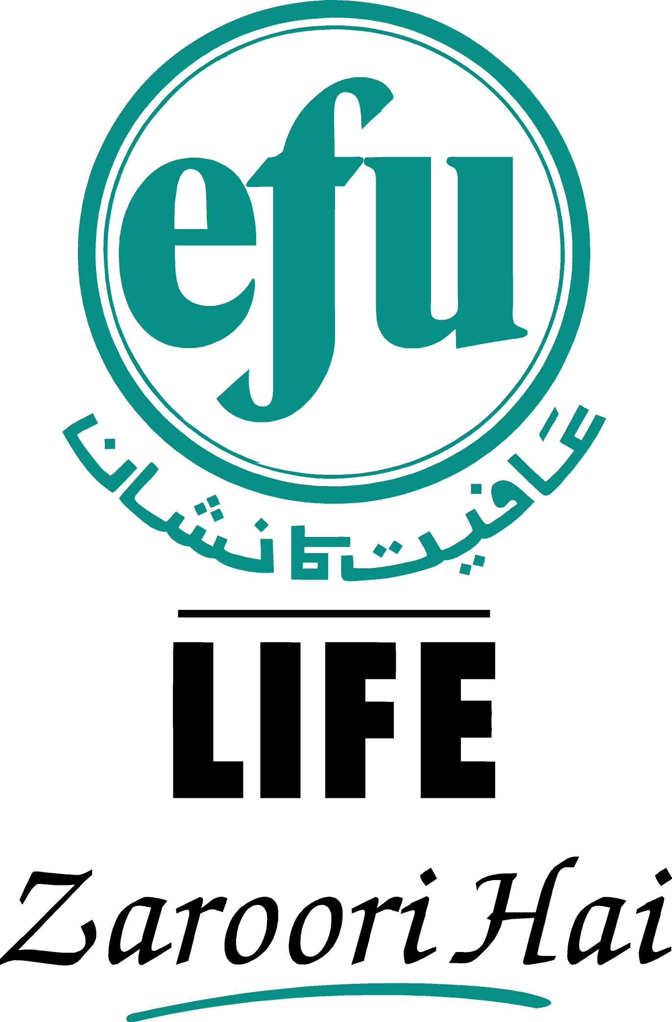 https://www.pakpositions.com/company/efu-life-assurance-1613792642