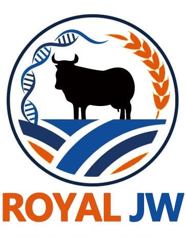 https://www.pakpositions.com/company/royal-jw-buffalo-industry-company-pvt-ltd