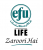 https://www.pakpositions.com/company/efu-life-1474372806