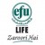 https://www.pakpositions.com/company/efu-life-assurance-ltd-1479981264