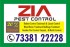 https://www.pakpositions.com/company/zia-pest-control-1616059490